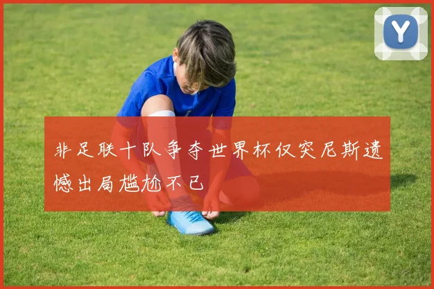 非足联十队争夺世界杯仅突尼斯遗憾出局尴尬不已