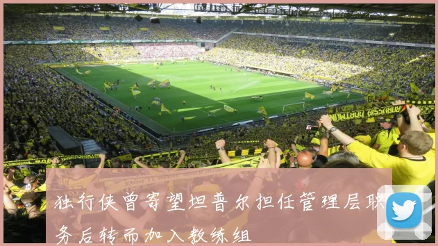 独行侠曾寄望坦普尔担任管理层职务后转而加入教练组